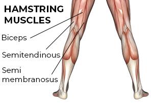 Hamstring Pulls: They’ll Slow Down Your Giddyup!!