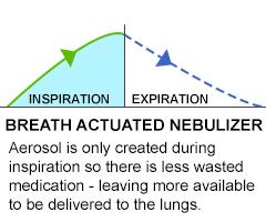 Nebulizer Output Comparison