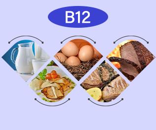 Source of Vitamin B12 Source of Vitamin B12