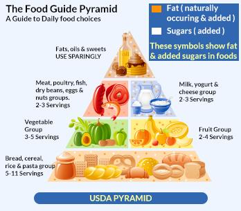  You Are What You Eat!!