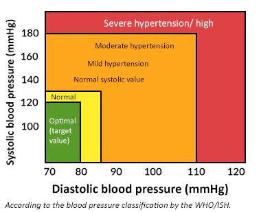  Don’t Blow Your Stack: Keep an Eye on Your Blood Pressure 