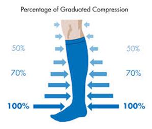 What's the Difference Between Compression Stockings, Support Hose and TED  Stockings? 