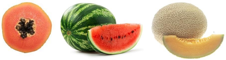 Watermelon, Papaya, and Cantaloupe 