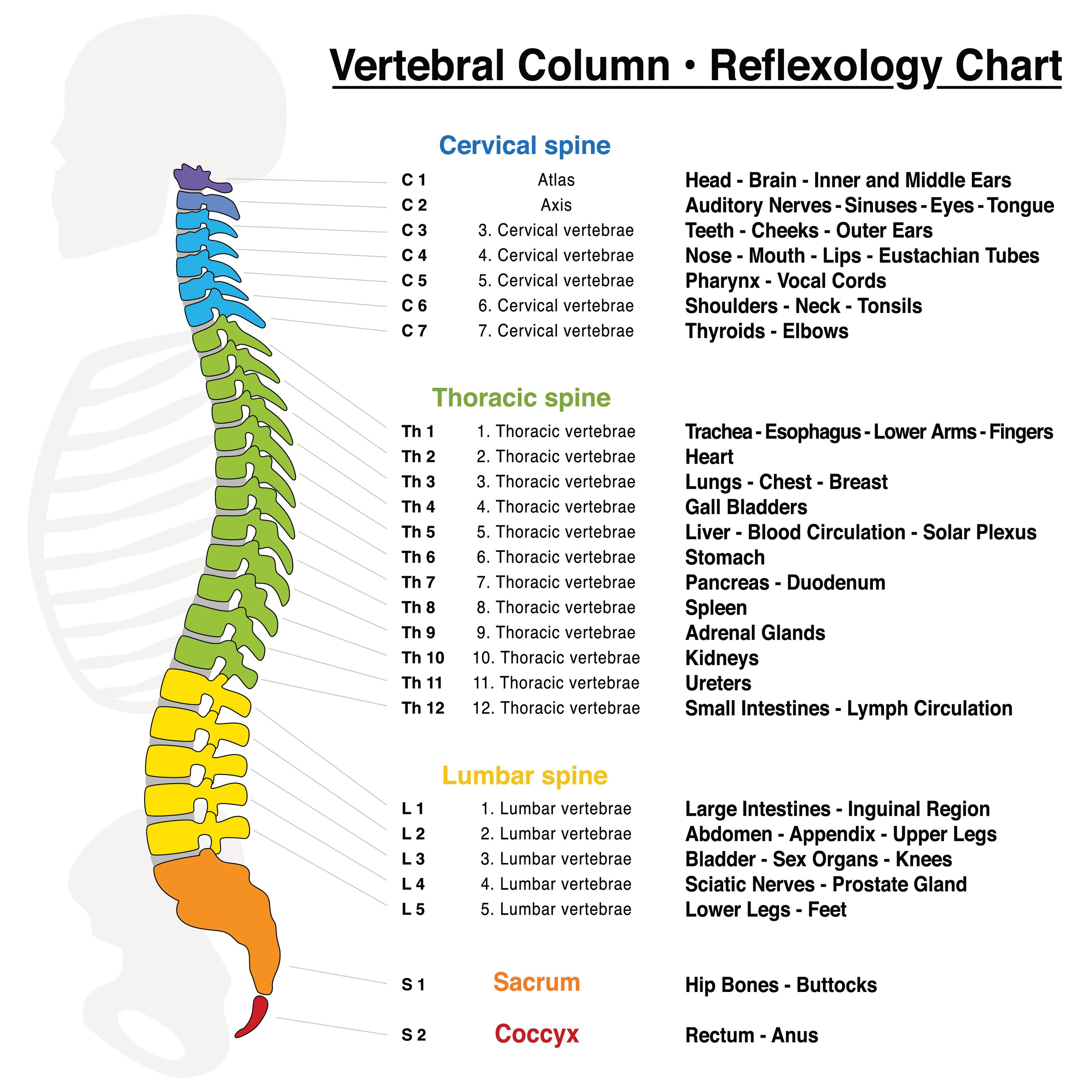 Types of injuries of the spinal cord