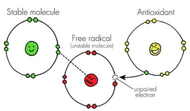 Benefits of Antioxidants