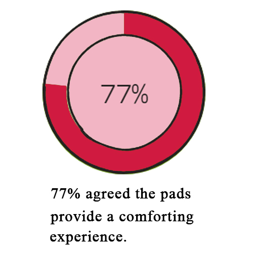 The Honey Pot Organic Postpartum Herbal Pads